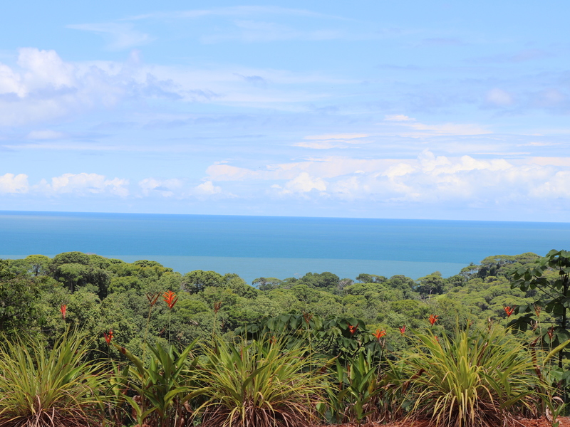 0 bed Land For Sale in Ojochal, Puntarenas - 1