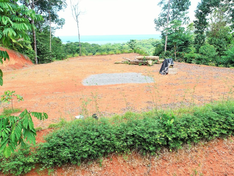 0 bed Land For Sale in Ojochal, Puntarenas - thumb 2