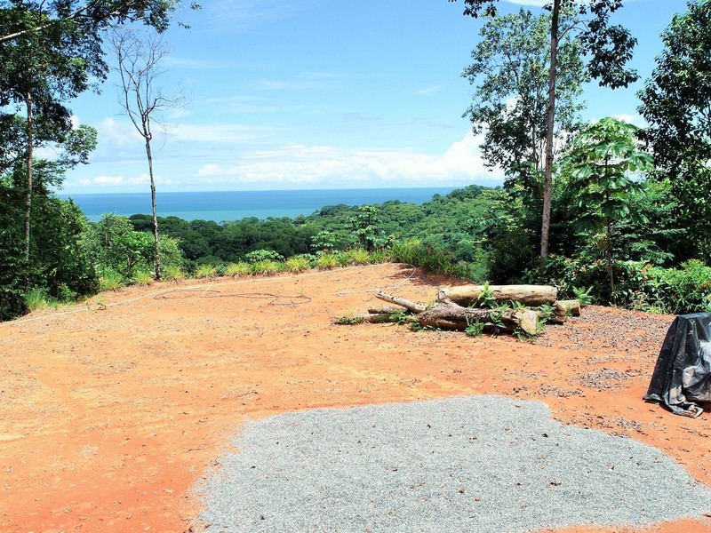 0 bed Land For Sale in Ojochal, Puntarenas - thumb 4