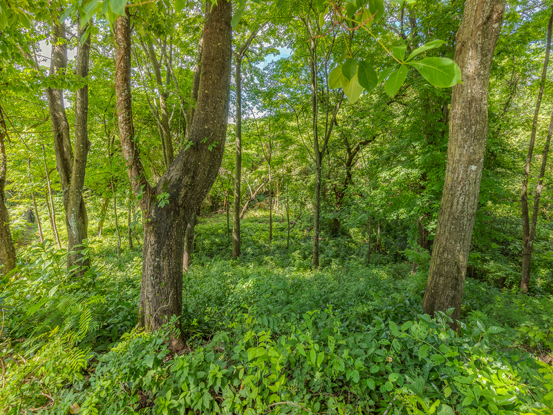 0 bed Land For Sale in Nosara, Guanacaste - 1