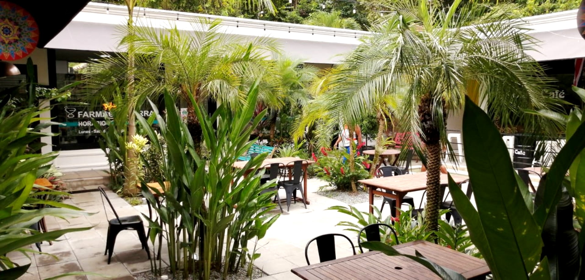 6 bed Commercial For Sale in Ojochal, Puntarenas - thumb 20