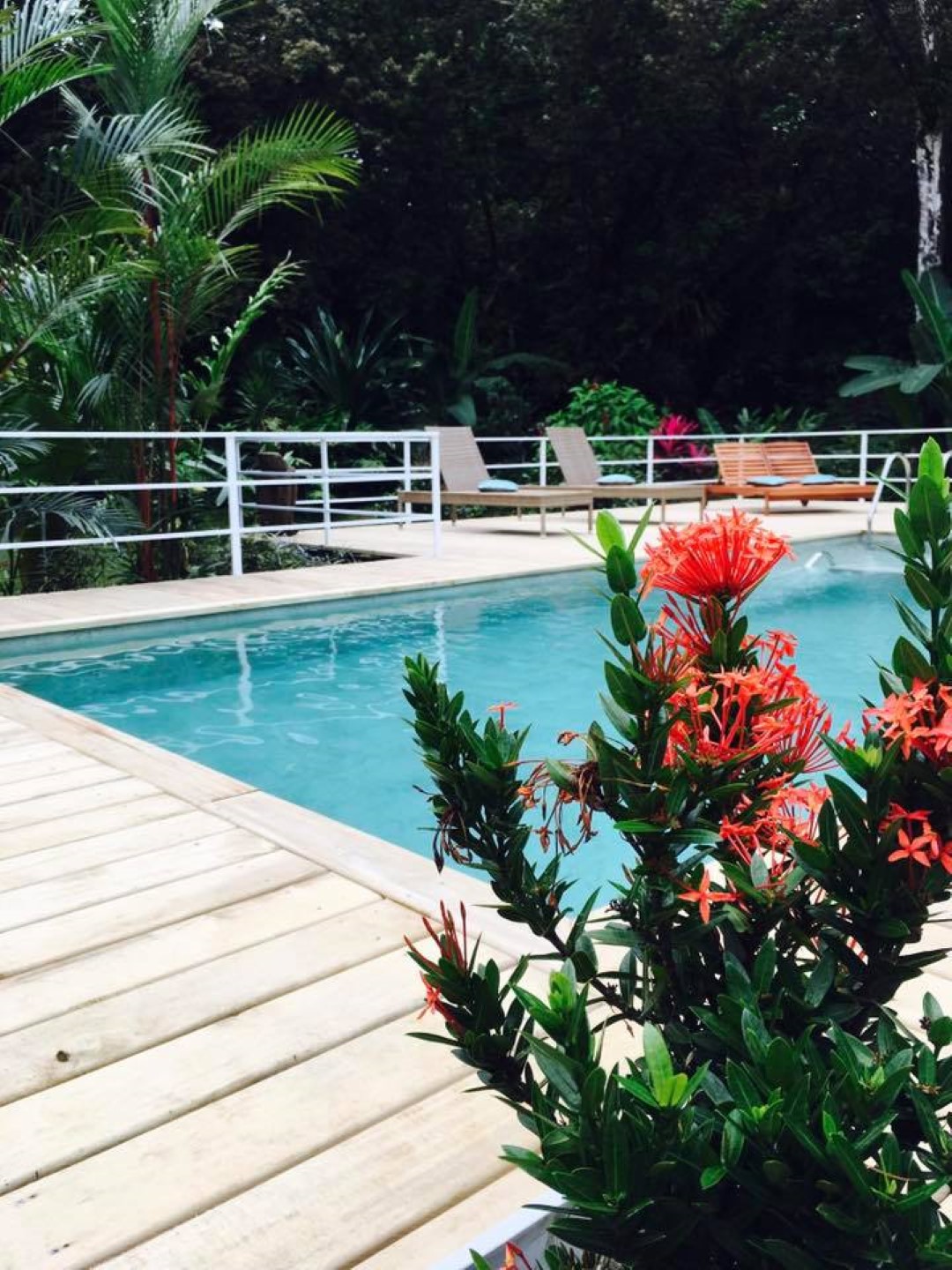 6 bed Commercial For Sale in Ojochal, Puntarenas - thumb 19