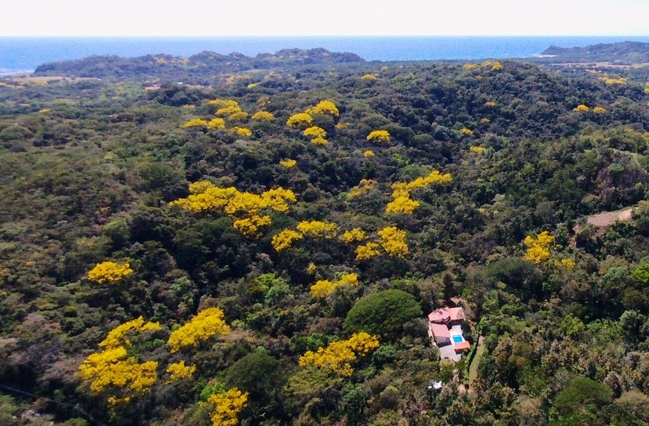 4 bed Single Family Homes For Sale in Samara, Guanacaste - thumb 22
