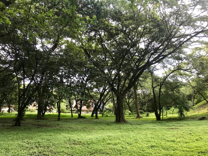 0 bed Land For Sale in Nosara, Guanacaste - 1
