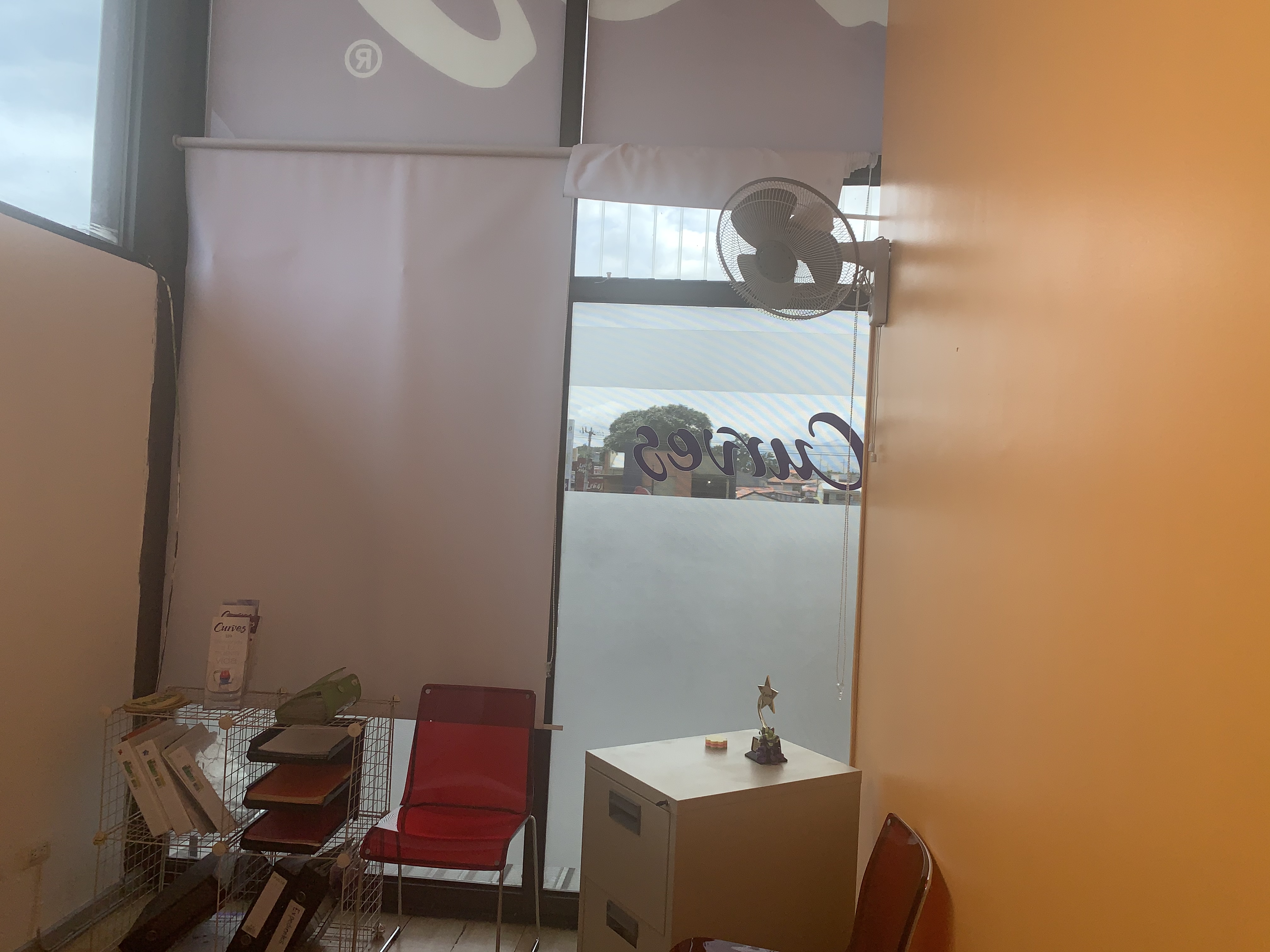 2 bed Commercial For Rent in San Francisco, Heredia - thumb 18