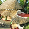  - Luxurious Eco Resort Near Dominical