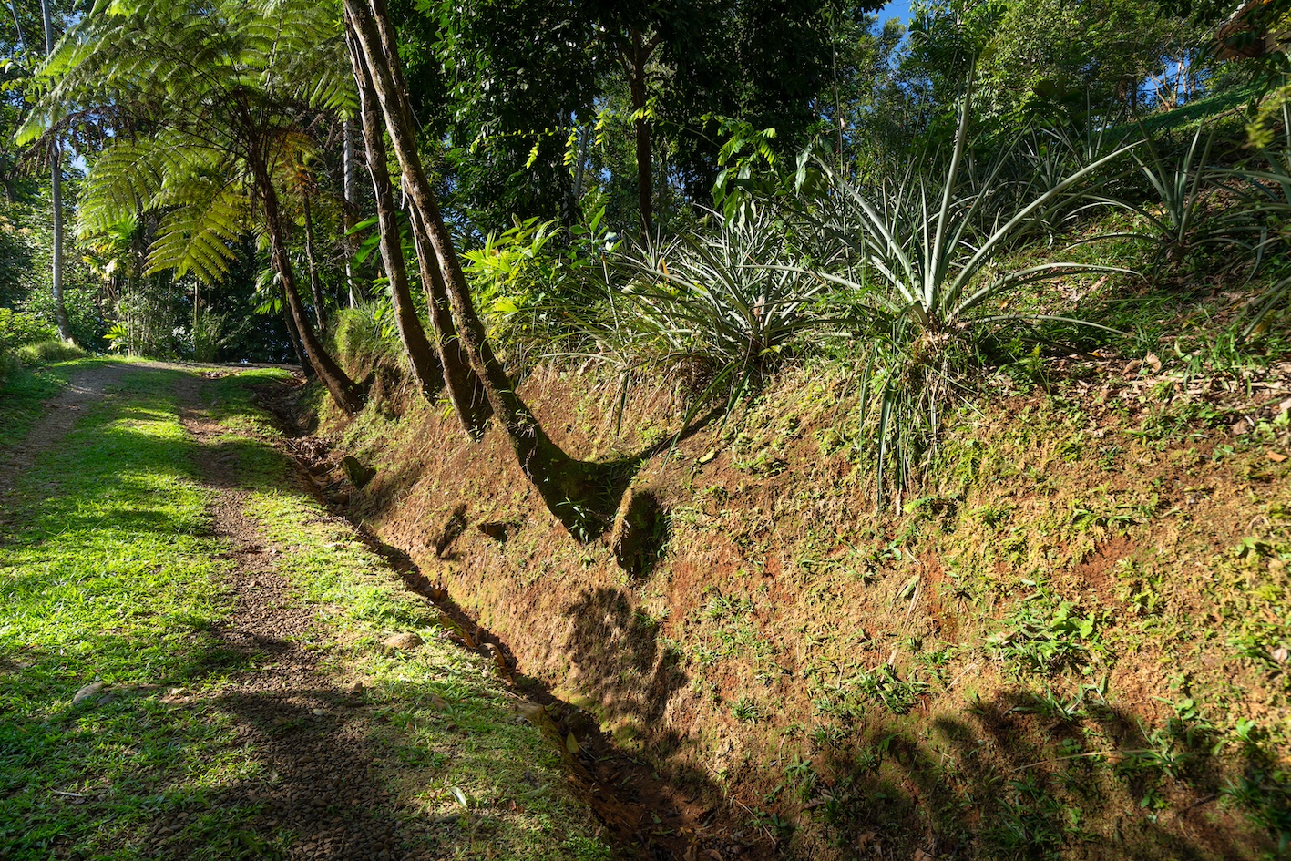 6 bed Hotel / Leisure For Sale in Dominical, Puntarenas - thumb 22