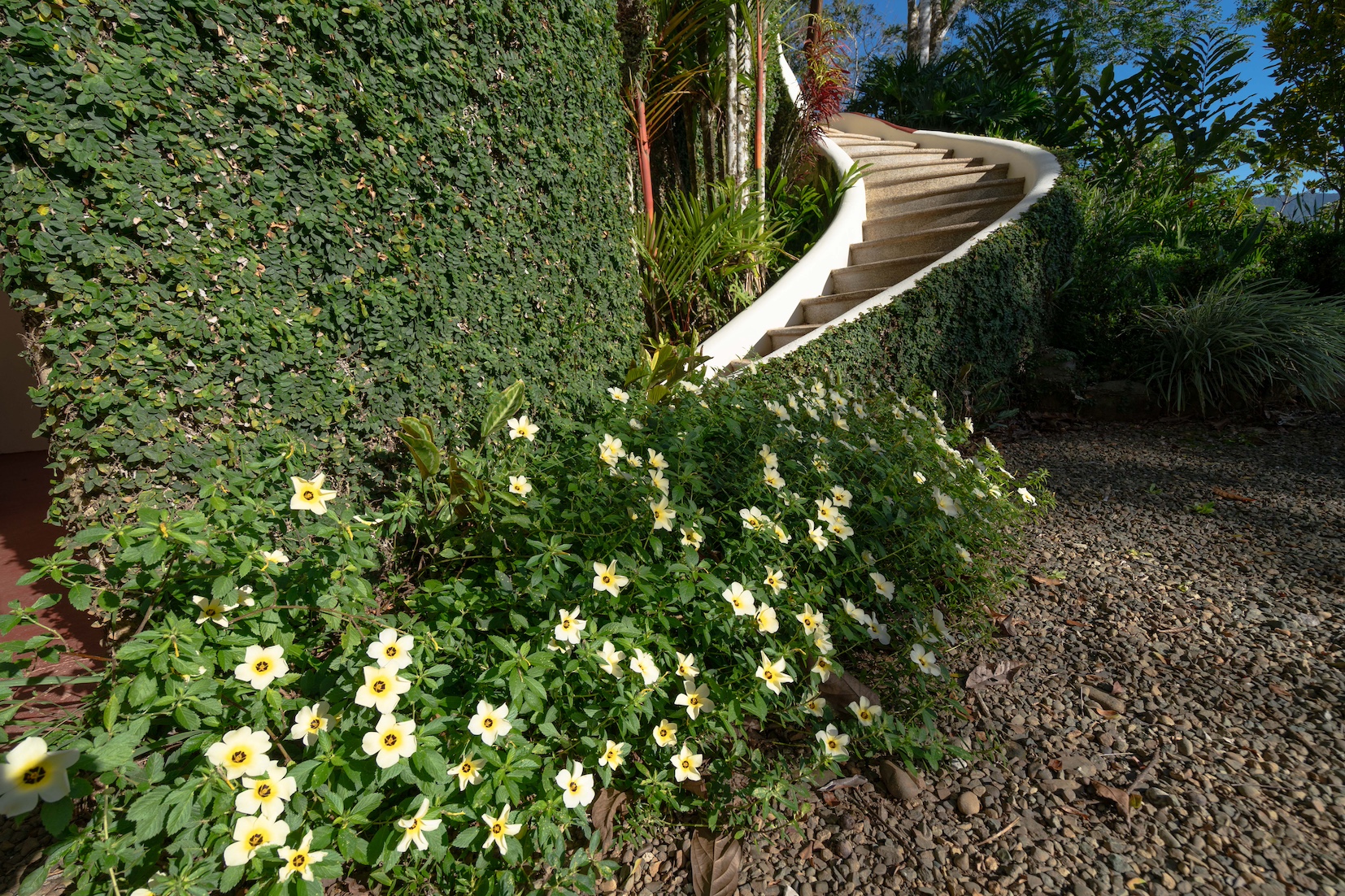 6 bed Hotel / Leisure For Sale in Dominical, Puntarenas - thumb 12