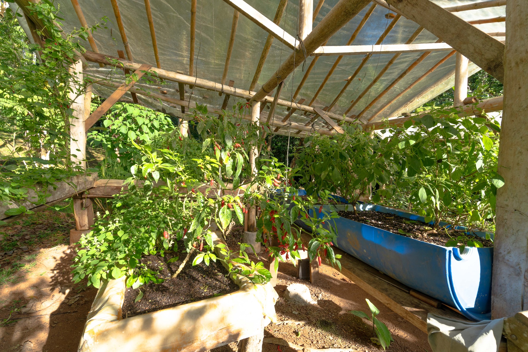 6 bed Hotel / Leisure For Sale in Dominical, Puntarenas - thumb 26