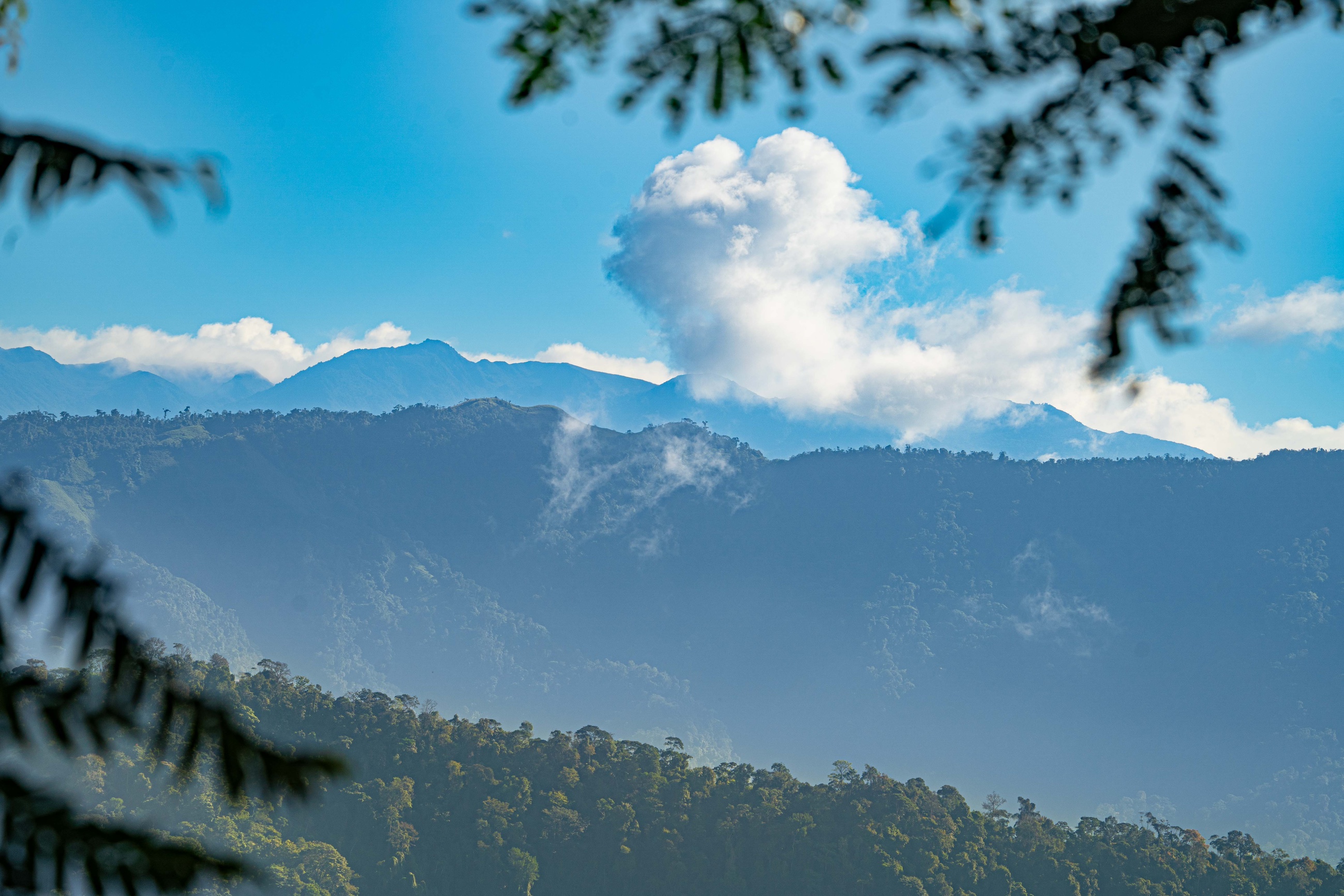 6 bed Hotel / Leisure For Sale in Dominical, Puntarenas - thumb 29