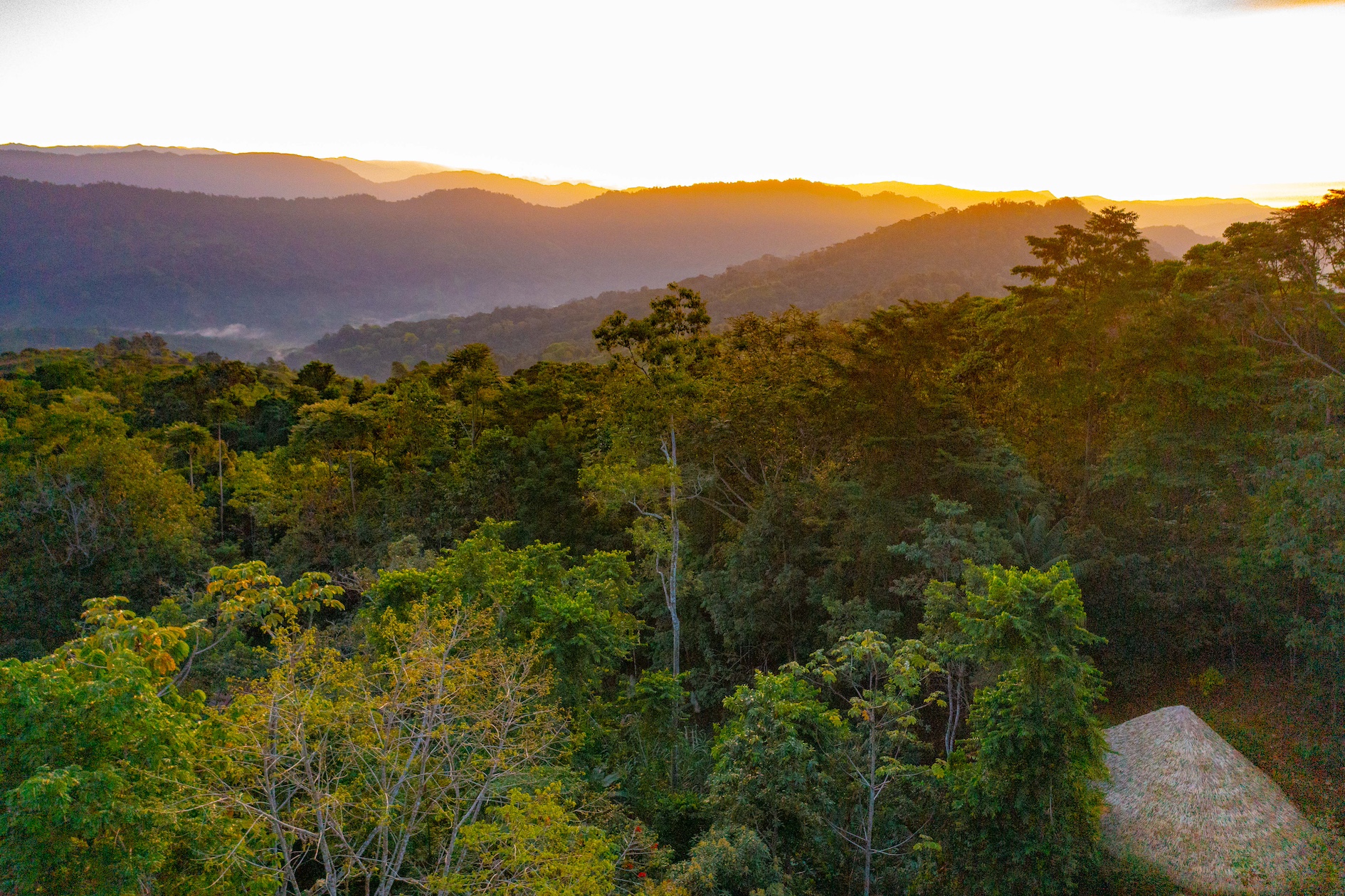 6 bed Hotel / Leisure For Sale in Dominical, Puntarenas - thumb 2