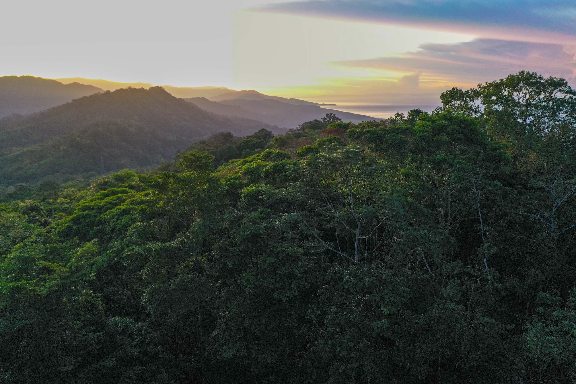 6 bed Hotel / Leisure For Sale in Dominical, Puntarenas - thumb 27