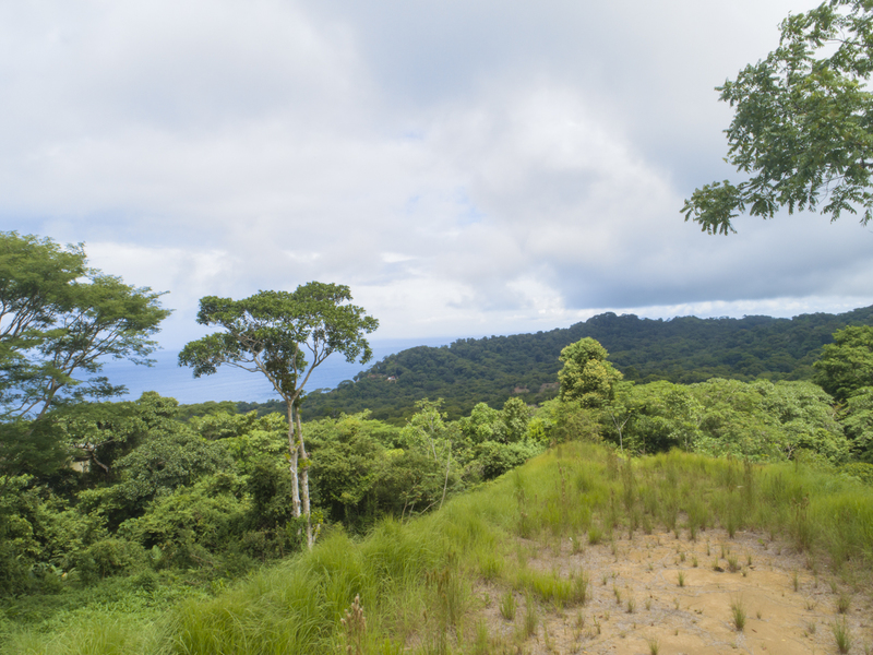 0 bed Land For Sale in Dominical, Puntarenas - thumb 19