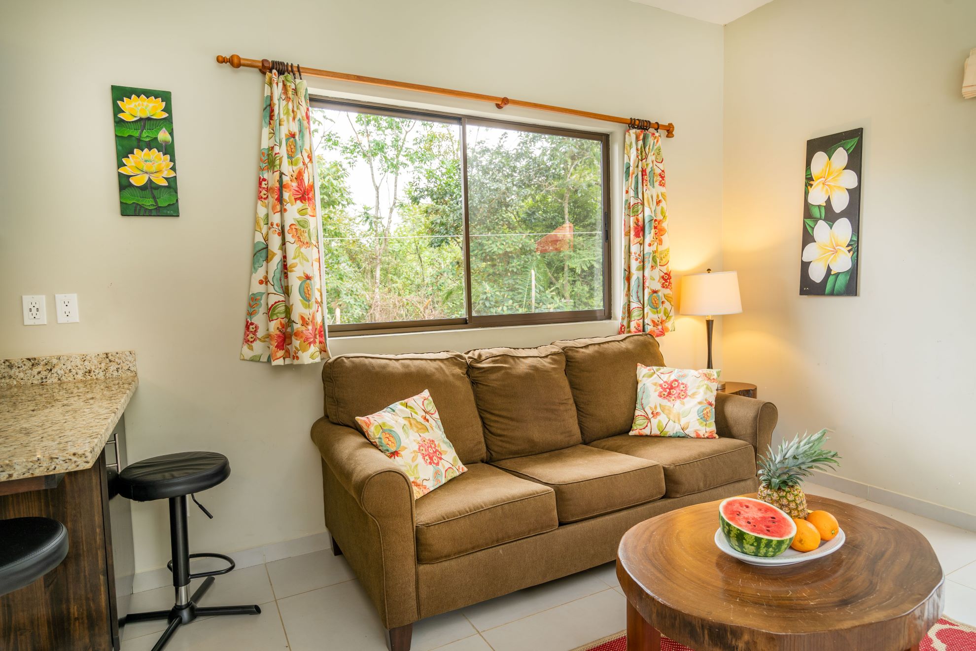 1 bed Single Family Homes For Sale in Palo Seco, Puntarenas - thumb 4