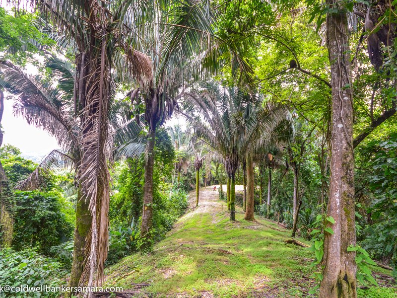 0 bed Land For Sale in Samara, Guanacaste - 1