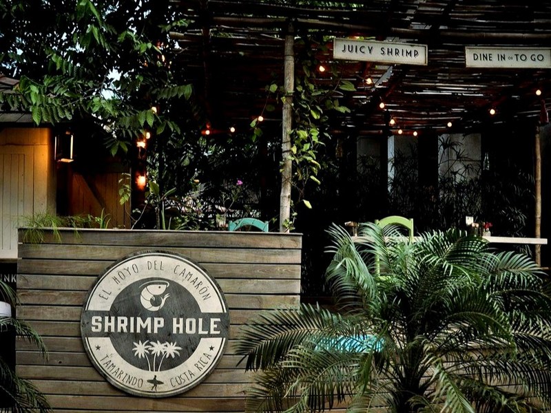 0 bed Business For Sale in Tamarindo, Guanacaste - 1