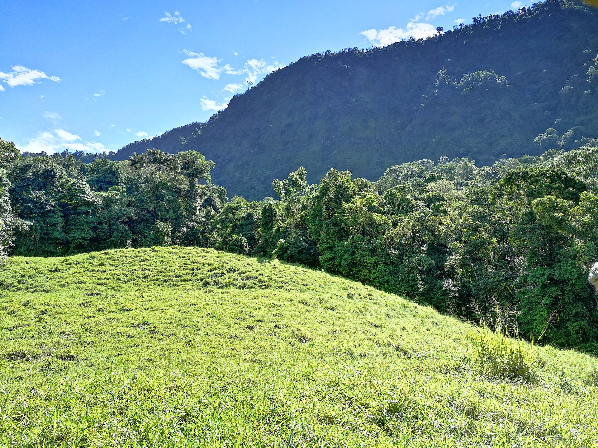 0 bed Land For Sale in Dominical, Puntarenas - thumb 12