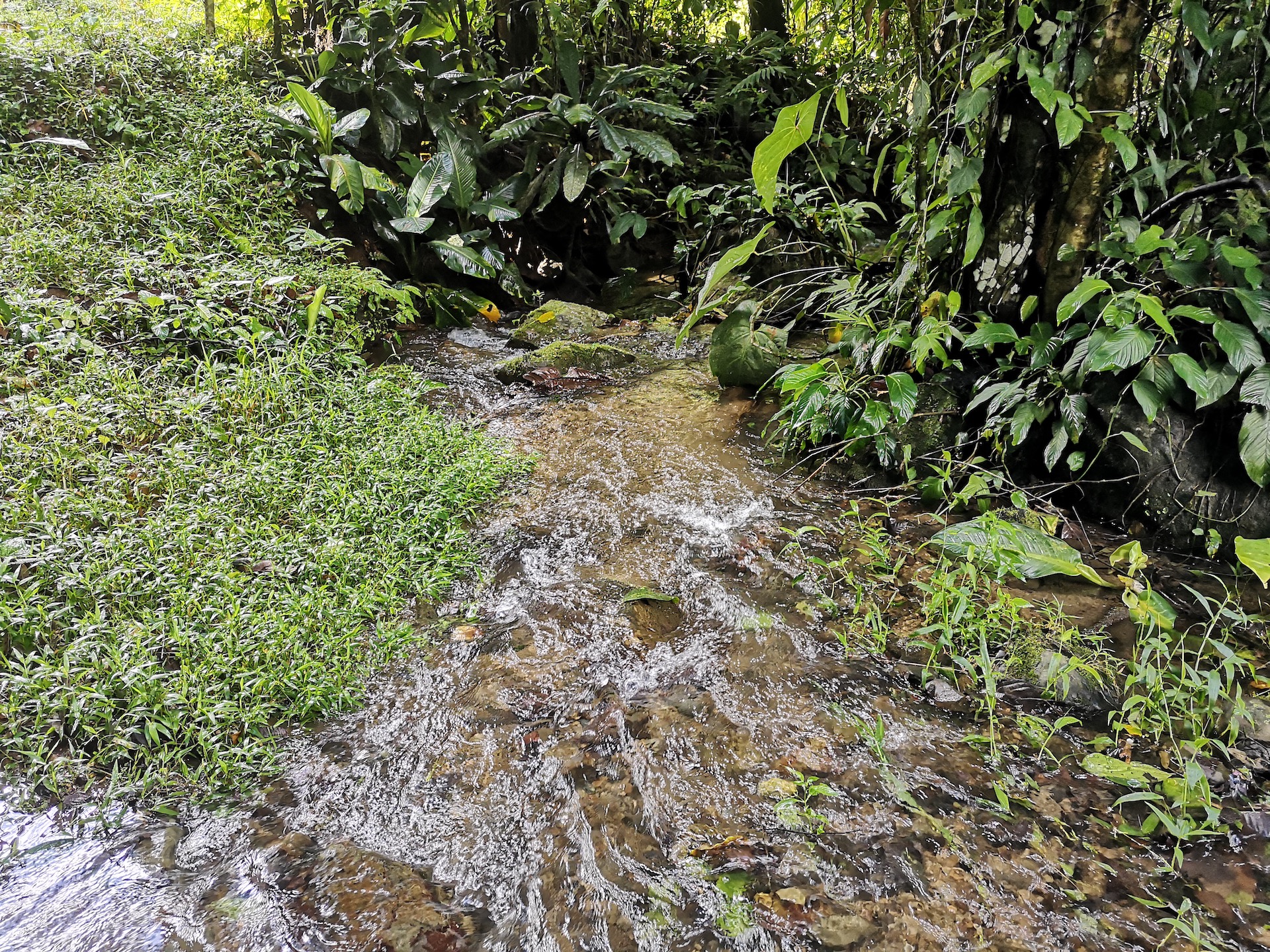 0 bed Land For Sale in Dominical, Puntarenas - thumb 11