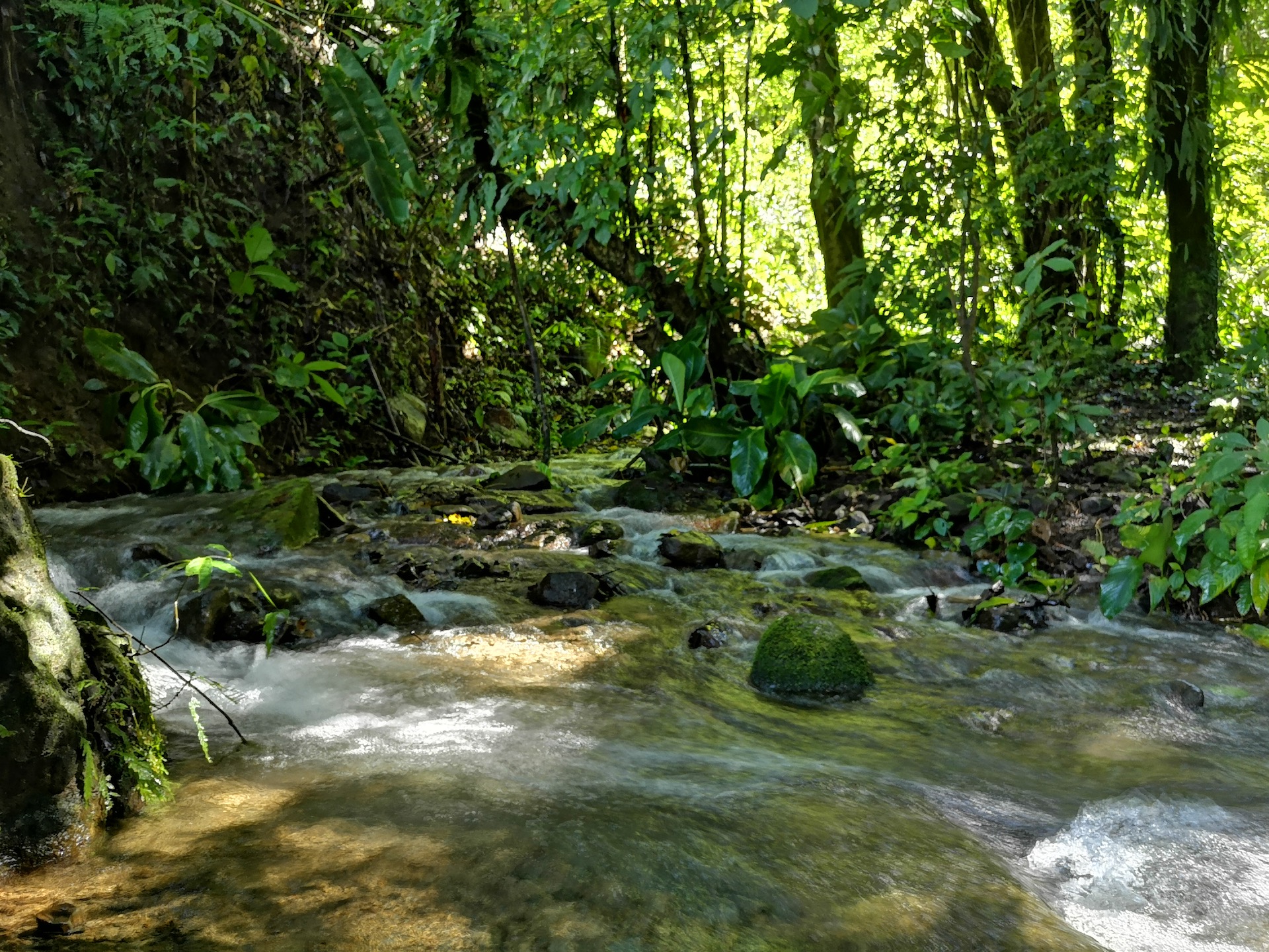 0 bed Land For Sale in Dominical, Puntarenas - thumb 13