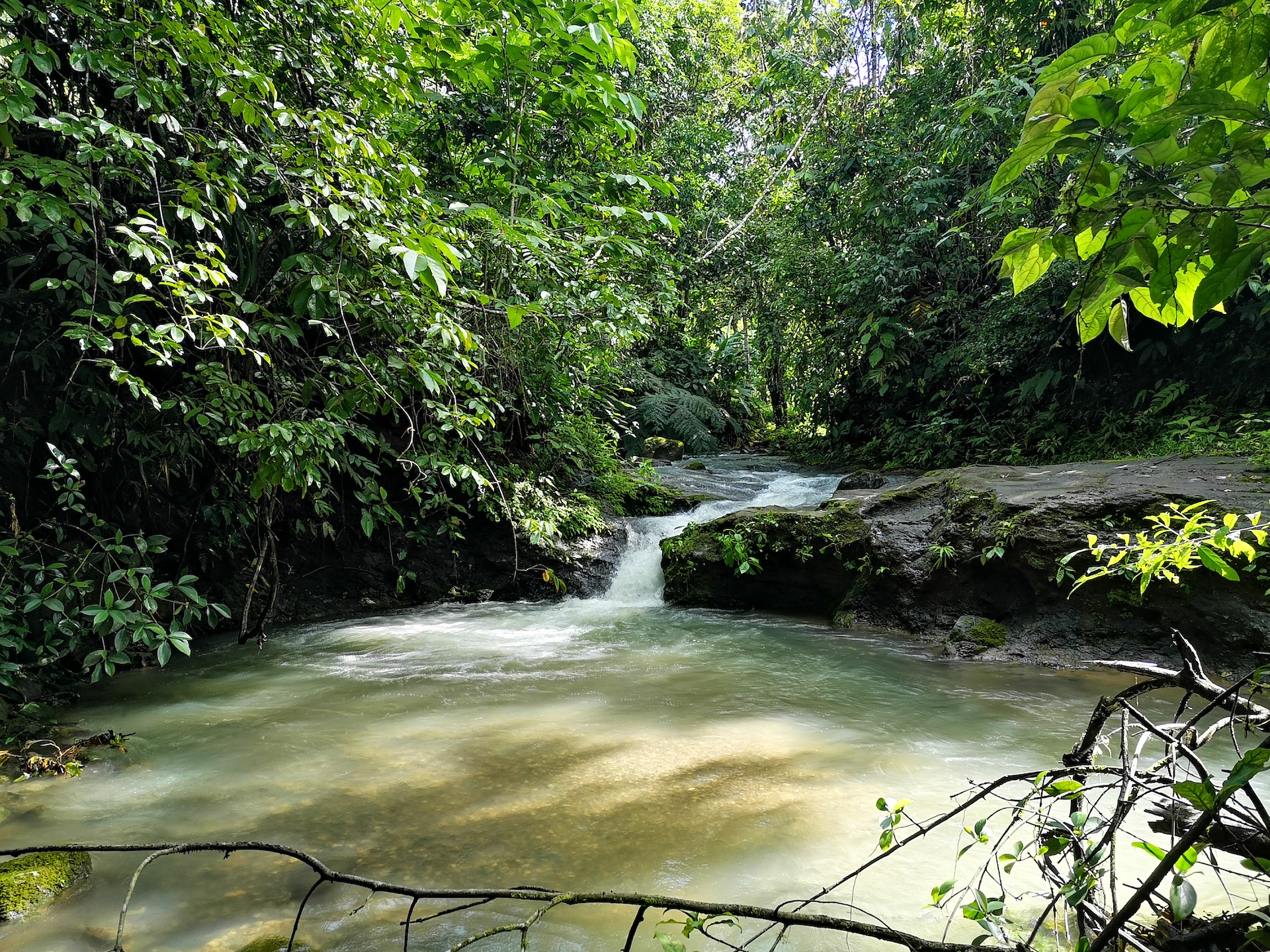 0 bed Land For Sale in Dominical, Puntarenas - thumb 6