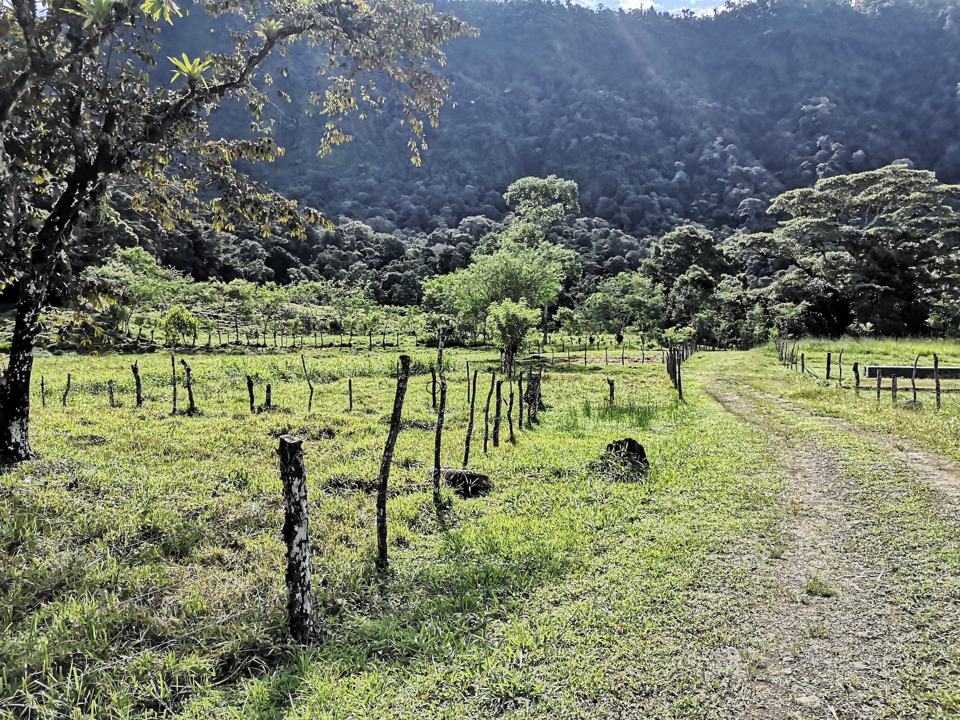 0 bed Land For Sale in Dominical, Puntarenas - thumb 7