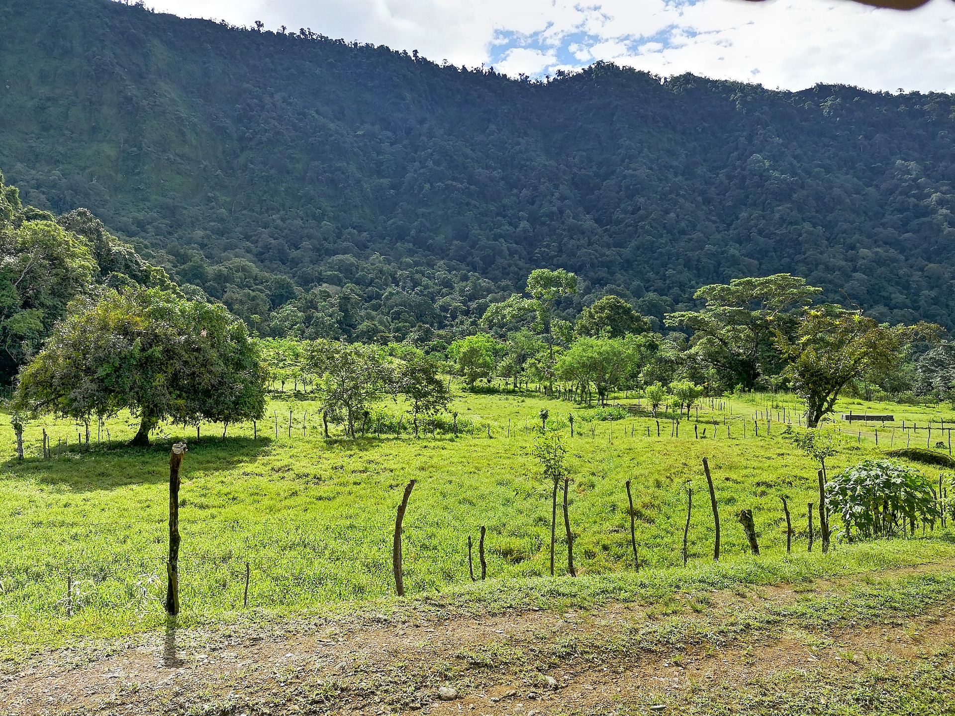 0 bed Land For Sale in Dominical, Puntarenas - thumb 5