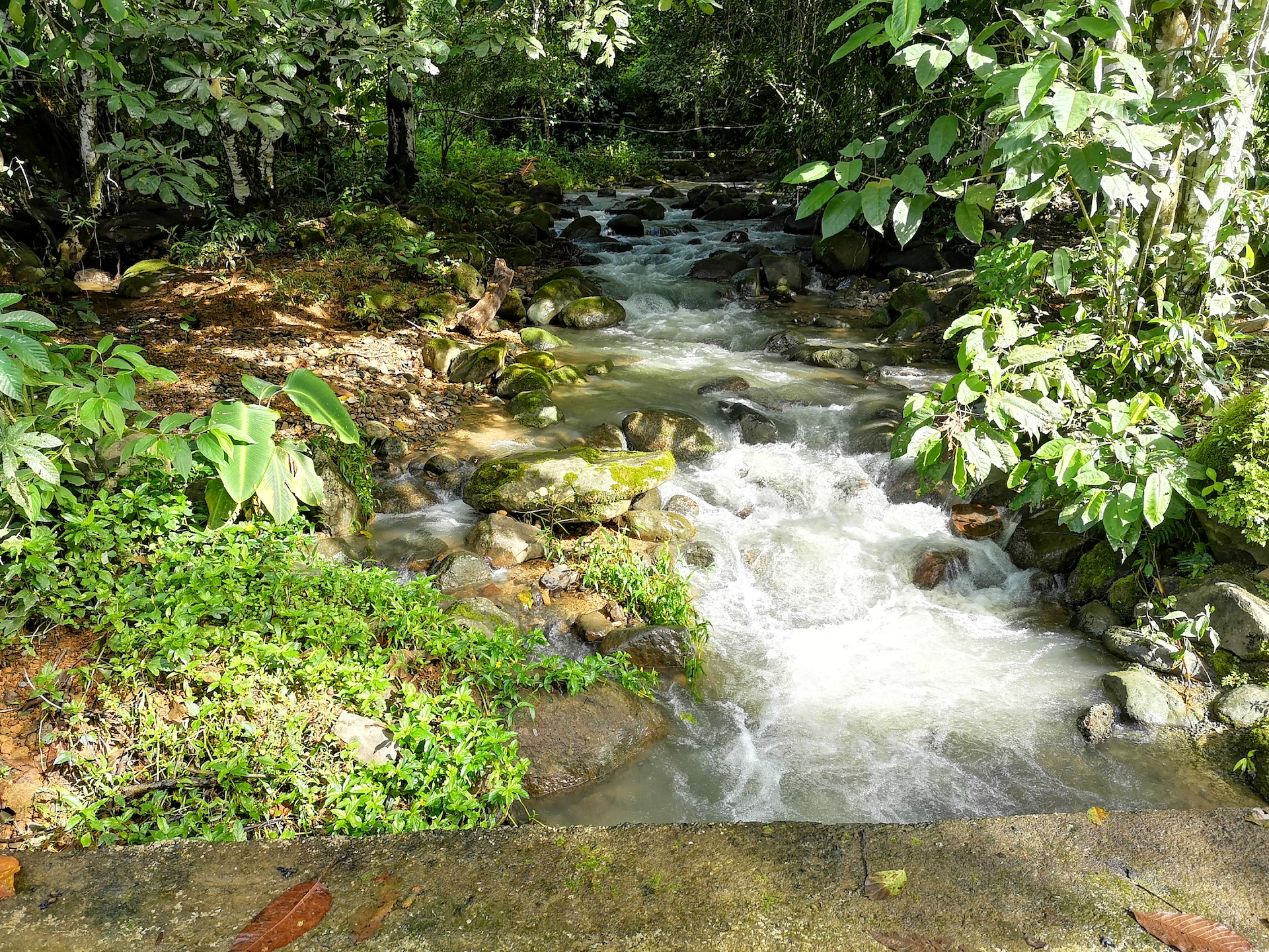 0 bed Land For Sale in Dominical, Puntarenas - thumb 4