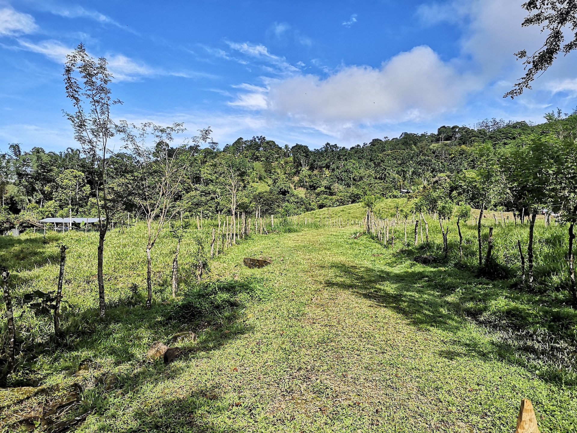 0 bed Land For Sale in Dominical, Puntarenas - thumb 8