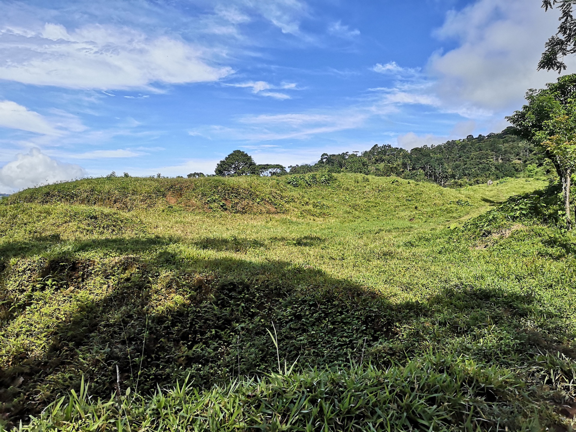 0 bed Land For Sale in Dominical, Puntarenas - thumb 1