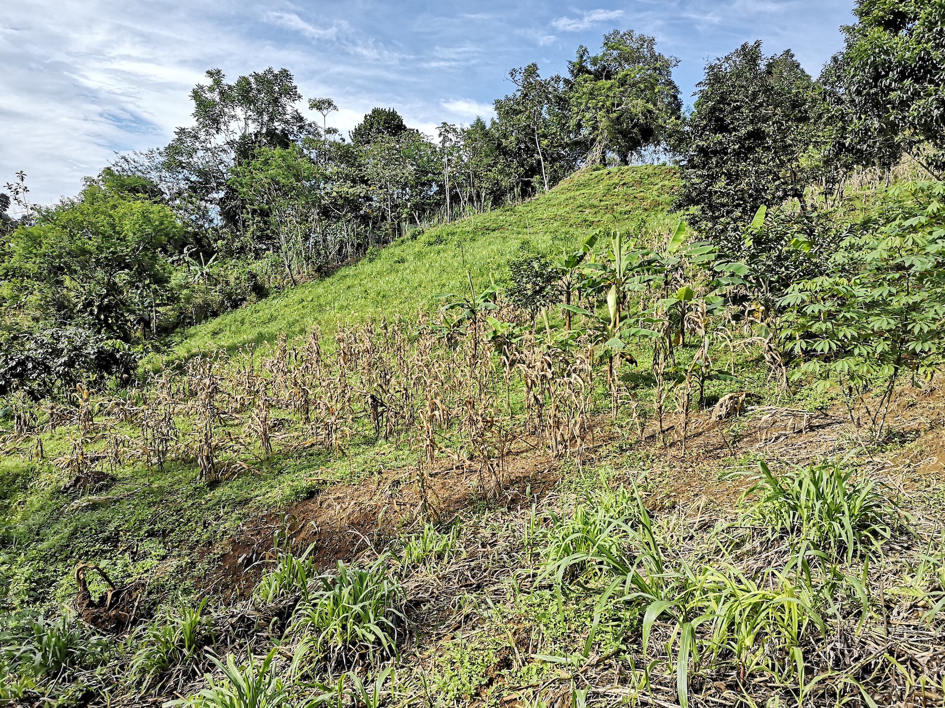 0 bed Land For Sale in Dominical, Puntarenas - thumb 2