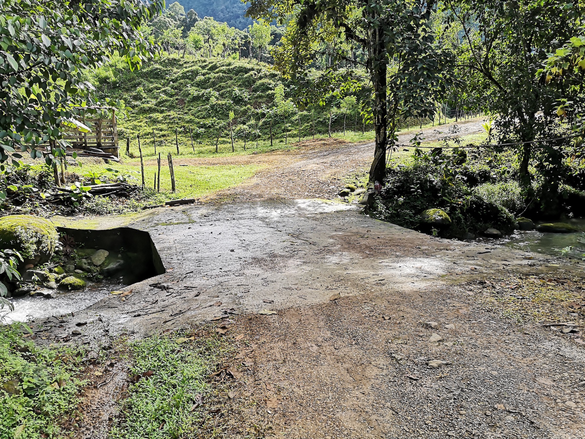 0 bed Land For Sale in Dominical, Puntarenas - thumb 3