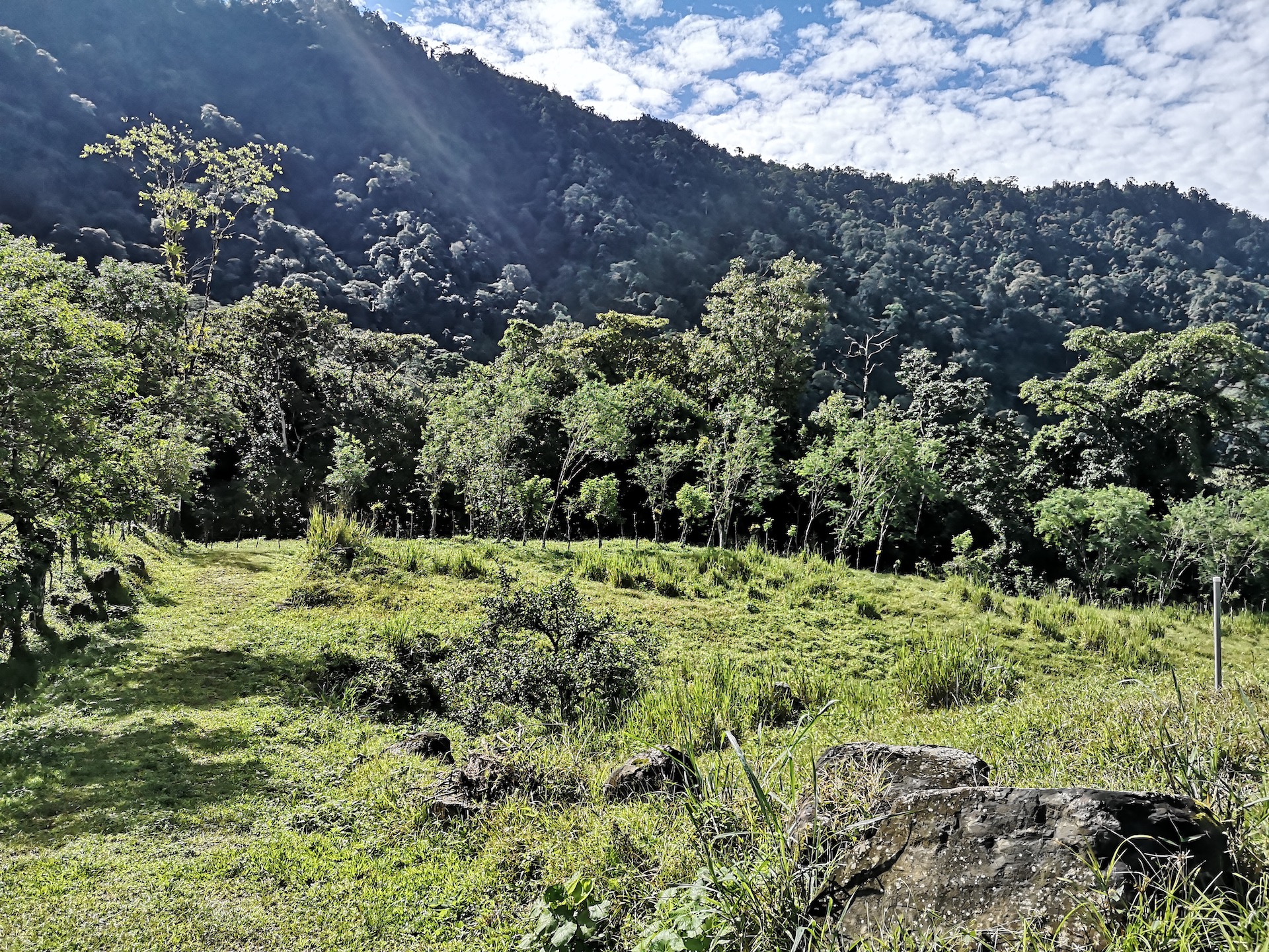 0 bed Land For Sale in Dominical, Puntarenas - thumb 10