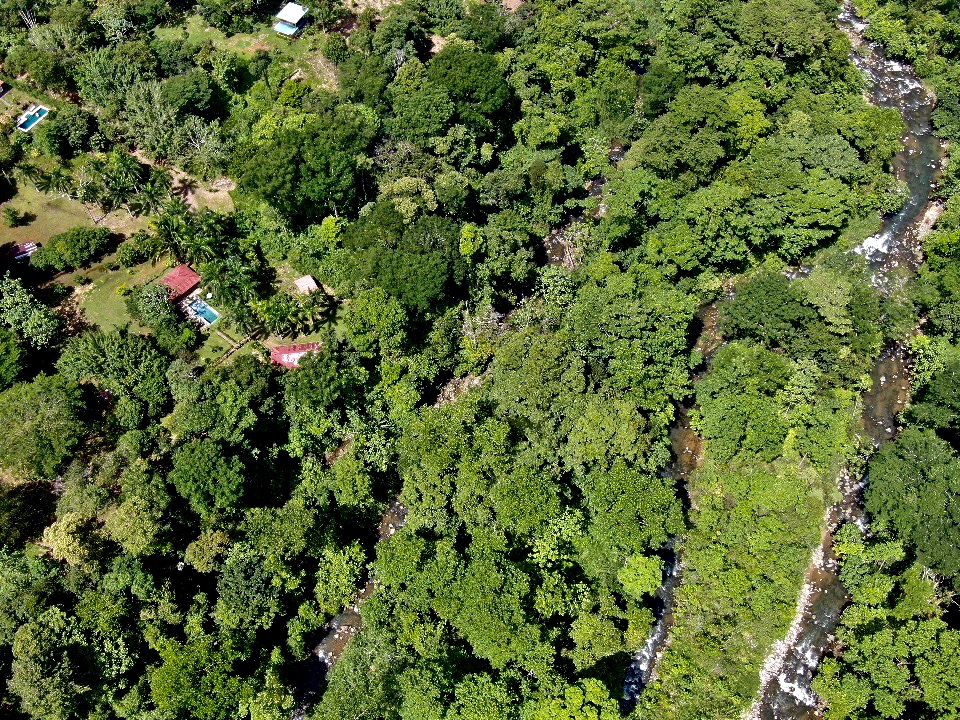 3 bed Single Family Homes For Sale in Uvita, Puntarenas - thumb 19
