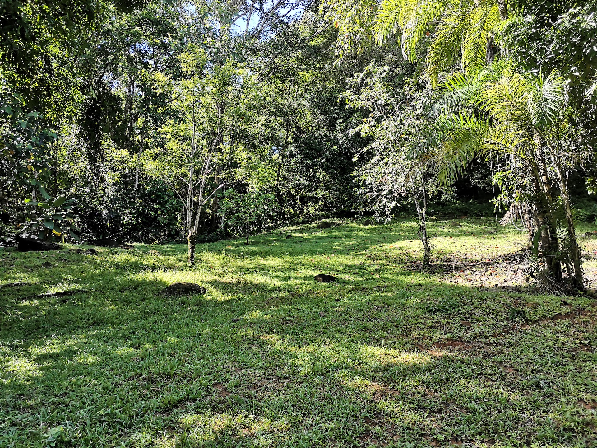 0 bed Land For Sale in Uvita, Puntarenas - thumb 6