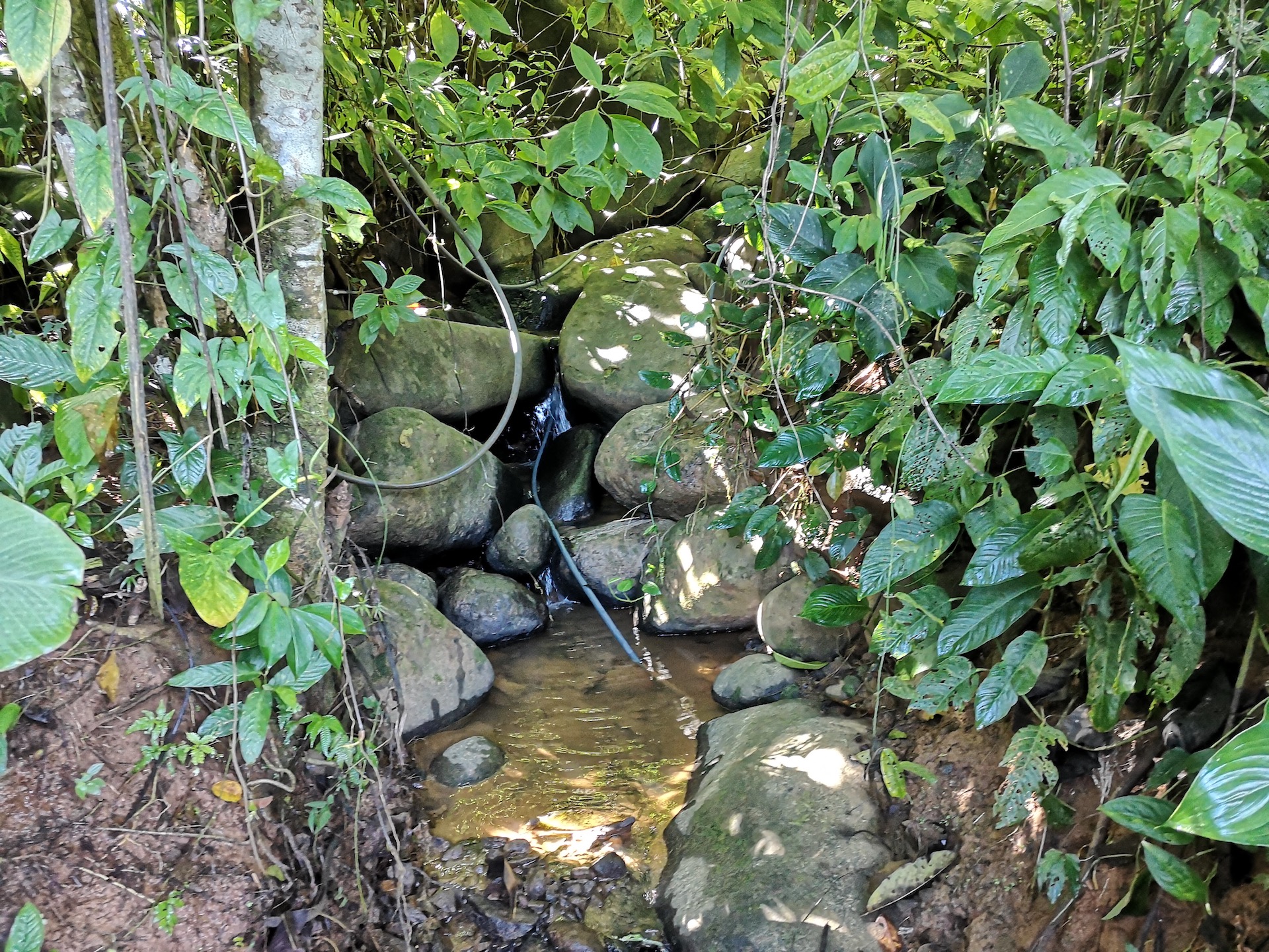 0 bed Land For Sale in Uvita, Puntarenas - thumb 2