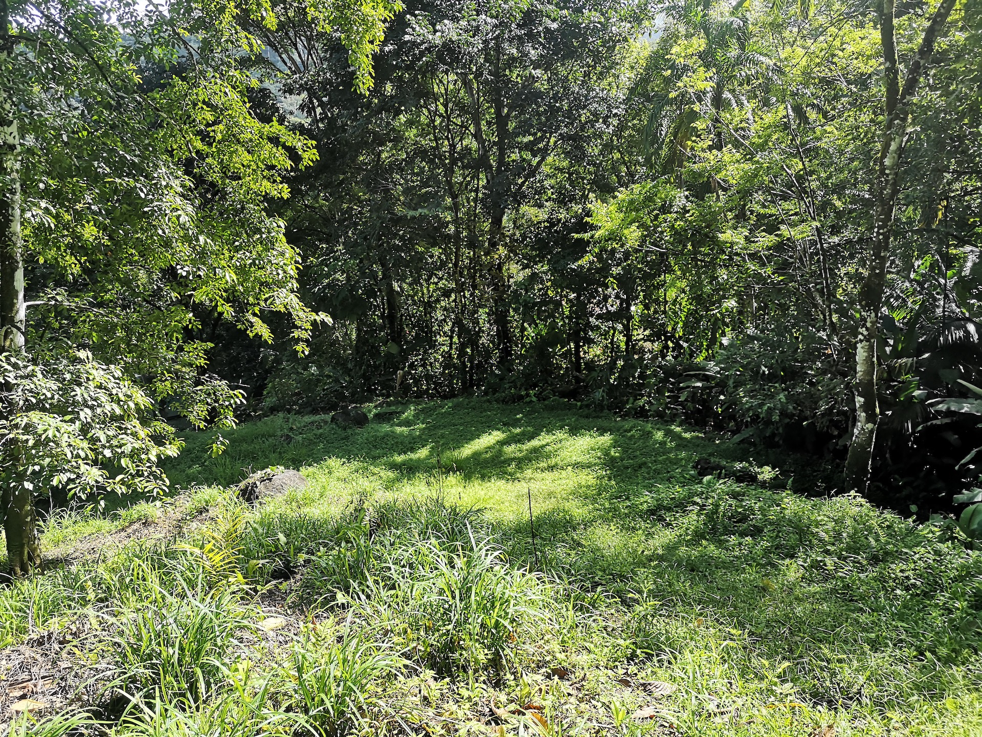 0 bed Land For Sale in Uvita, Puntarenas - thumb 10