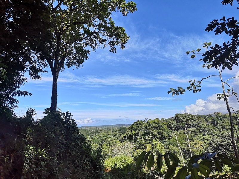0 bed Land For Sale in Uvita, Puntarenas - 1