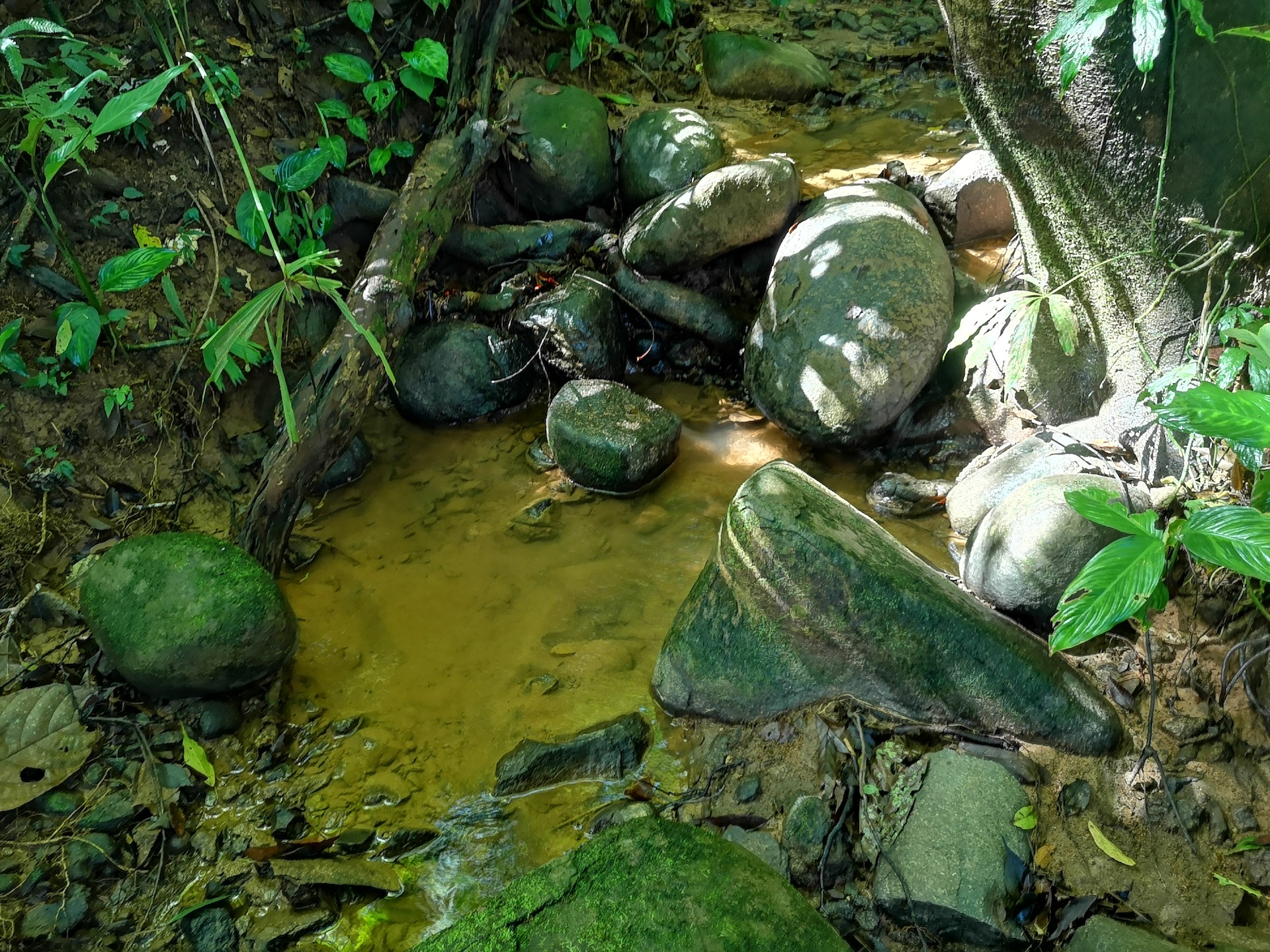 0 bed Land For Sale in Uvita, Puntarenas - thumb 7