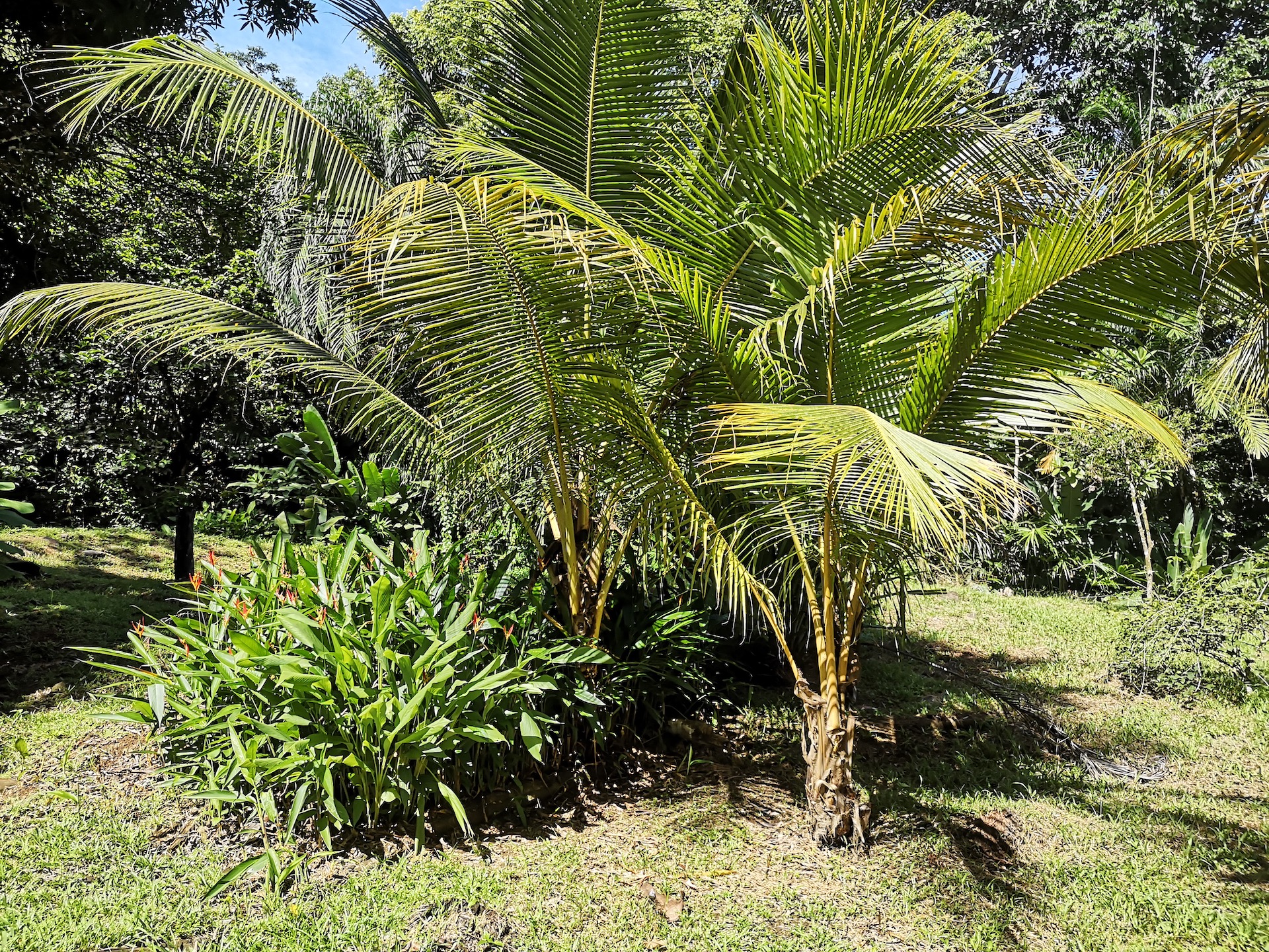 0 bed Land For Sale in Uvita, Puntarenas - thumb 5