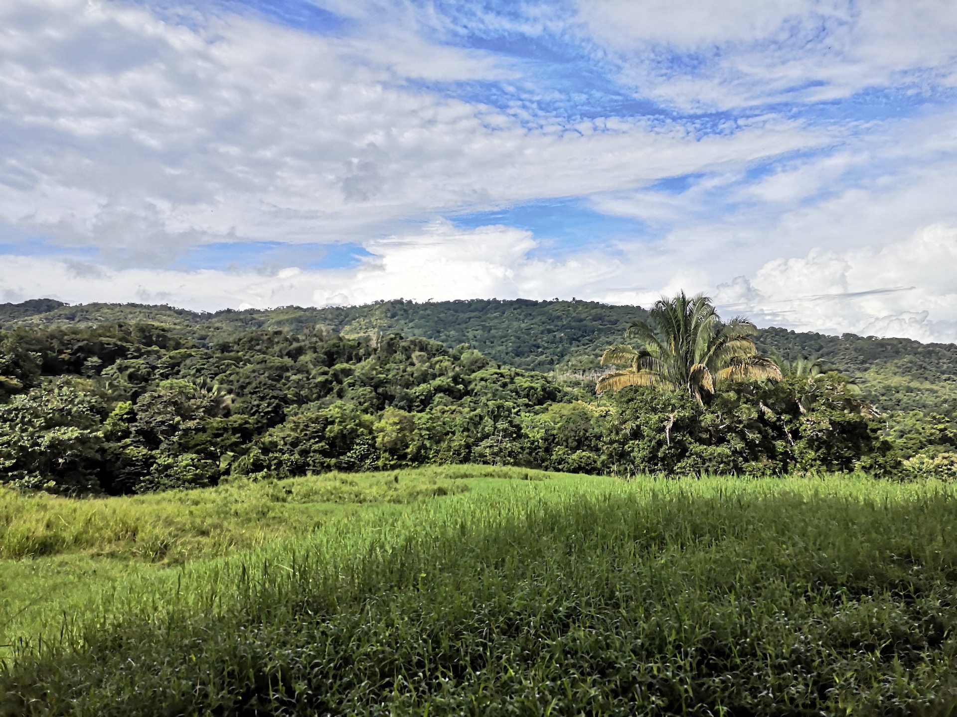 0 bed Land For Sale in Dominical, Puntarenas - thumb 5