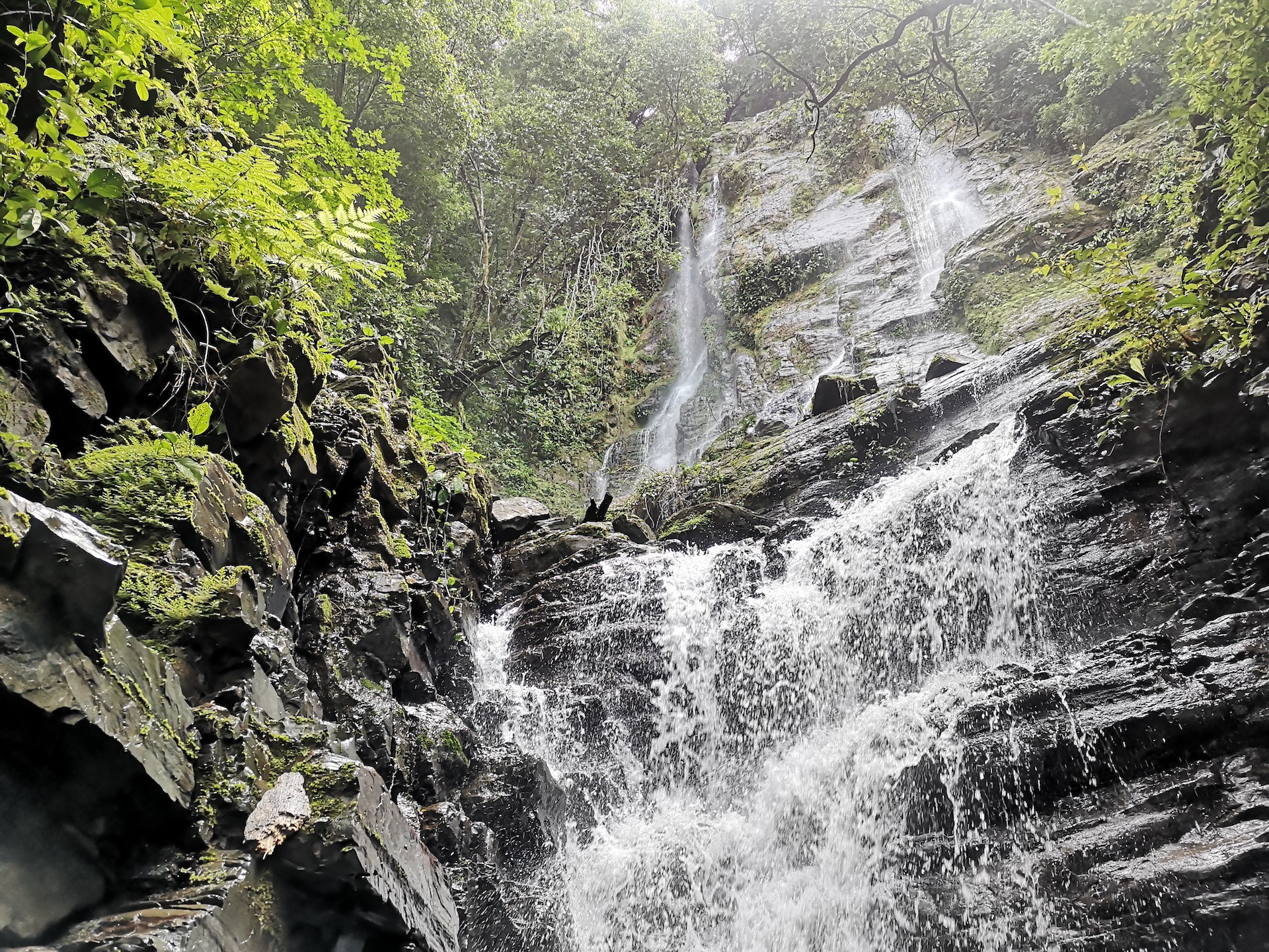 0 bed Land For Sale in Dominical, Puntarenas - thumb 1