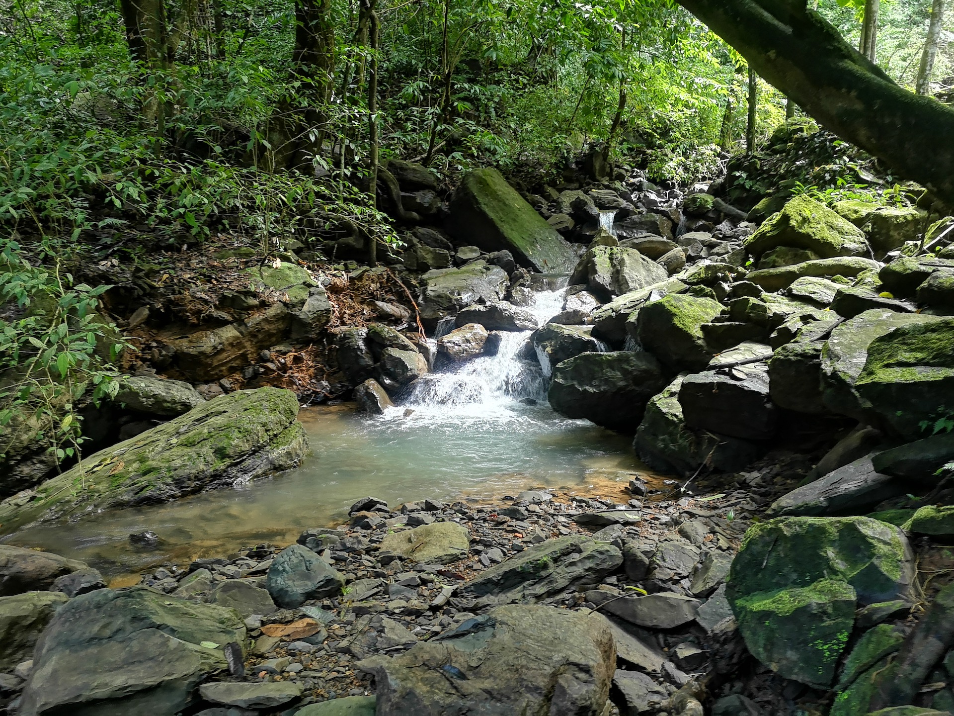 0 bed Land For Sale in Dominical, Puntarenas - thumb 13