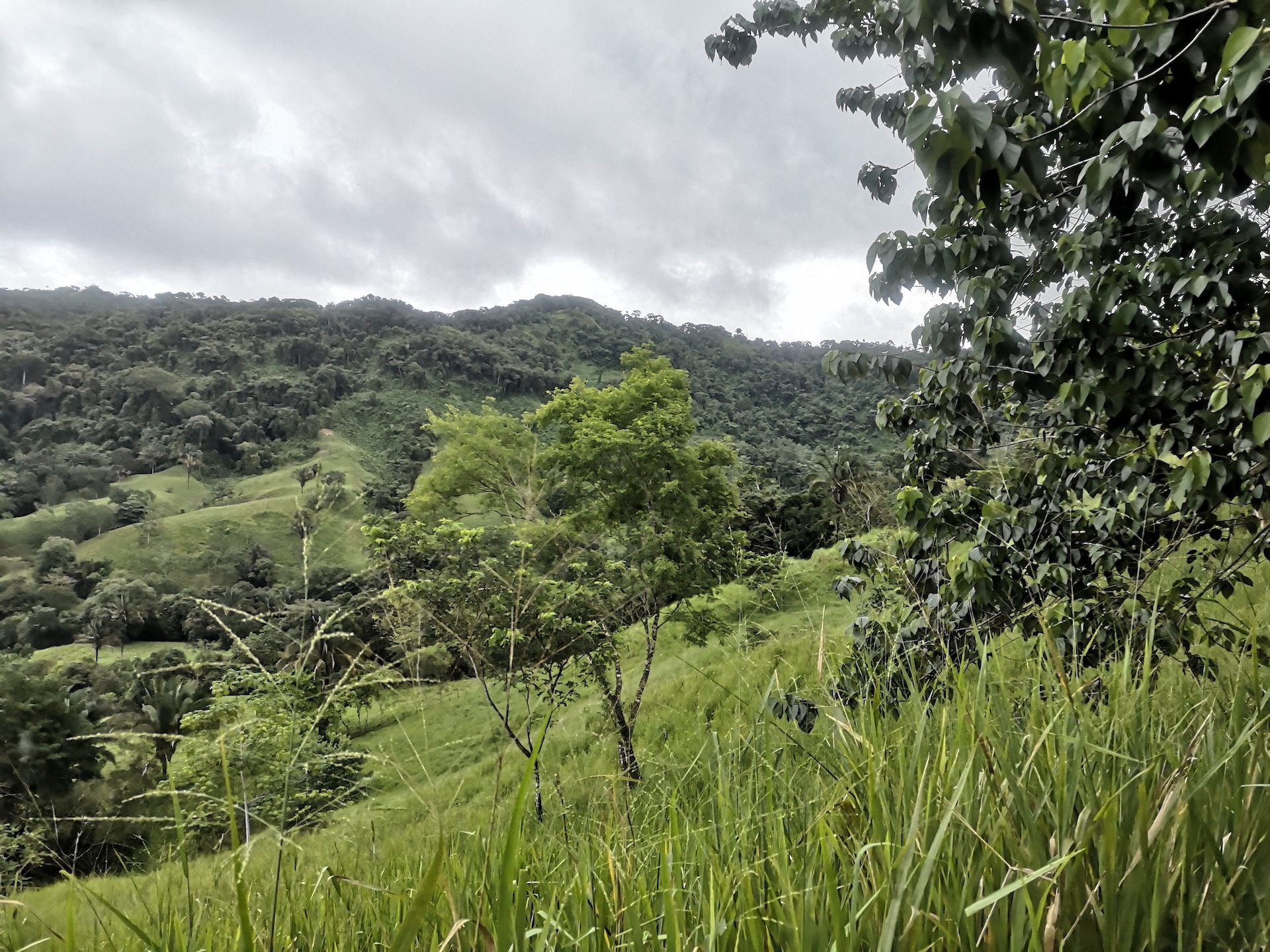 0 bed Land For Sale in Dominical, Puntarenas - thumb 14