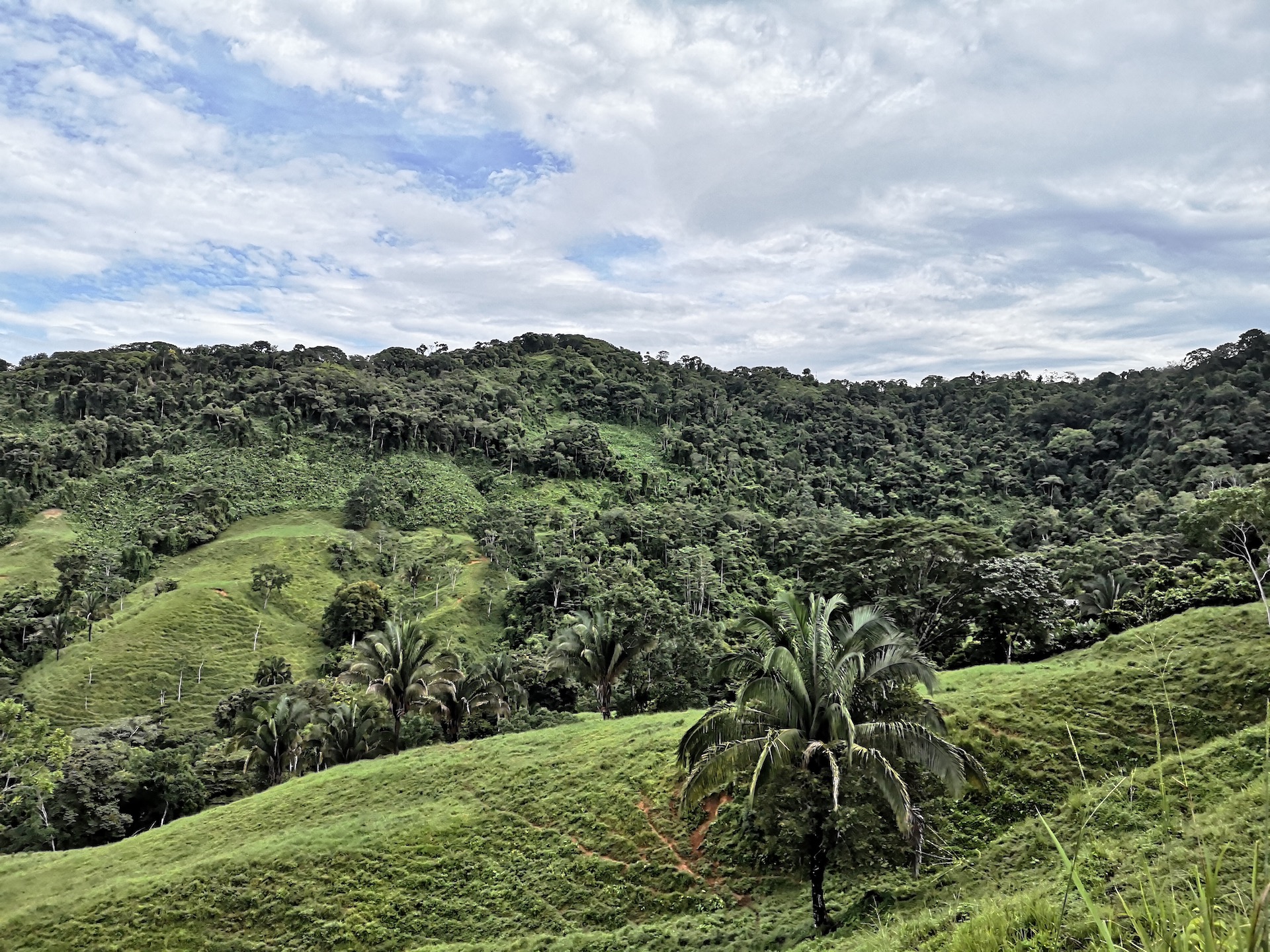 0 bed Land For Sale in Dominical, Puntarenas - thumb 7