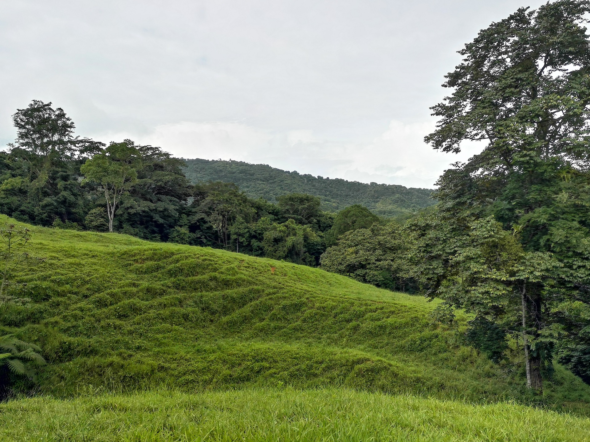 0 bed Land For Sale in Dominical, Puntarenas - thumb 9