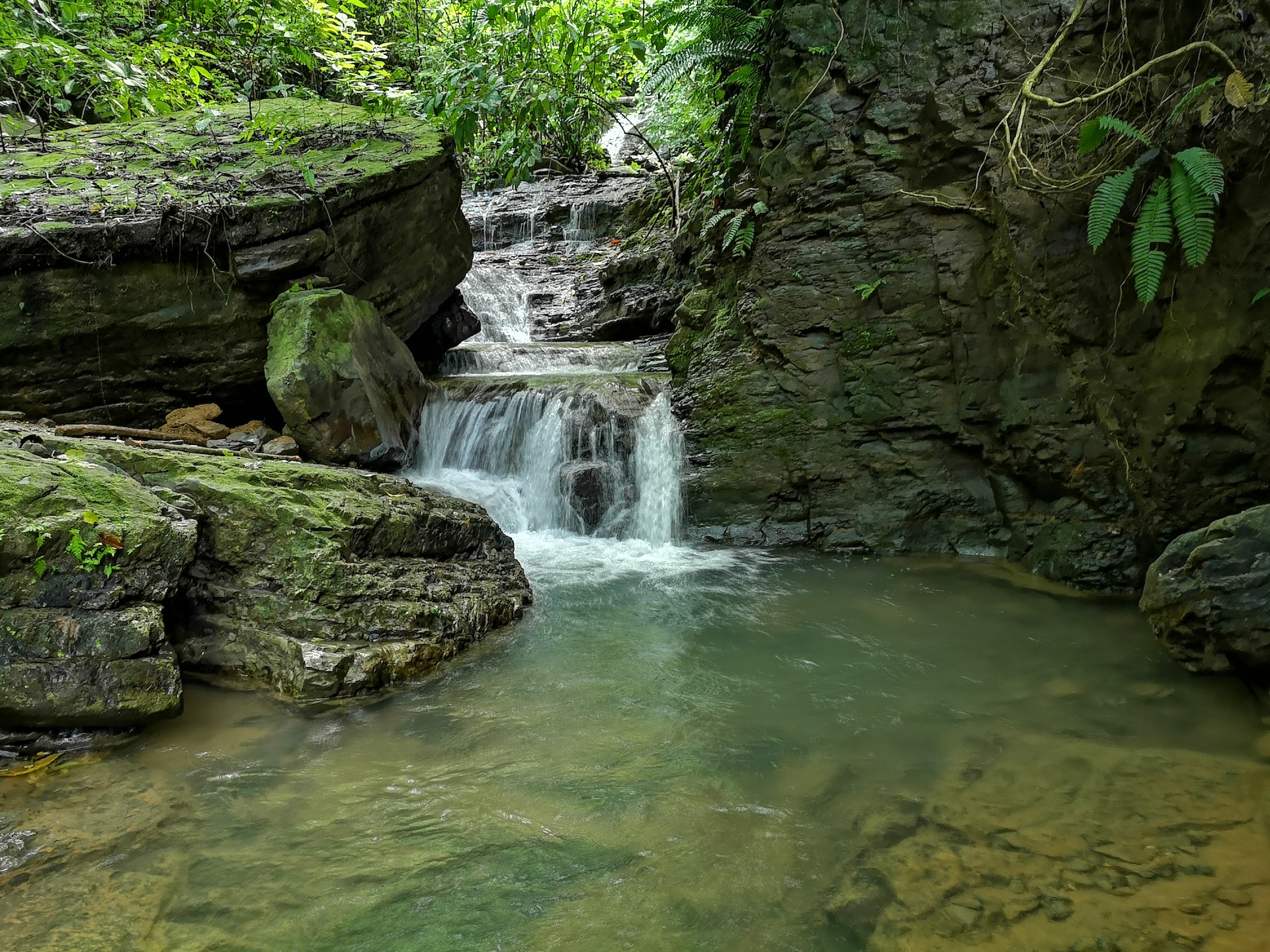 0 bed Land For Sale in Dominical, Puntarenas - thumb 12