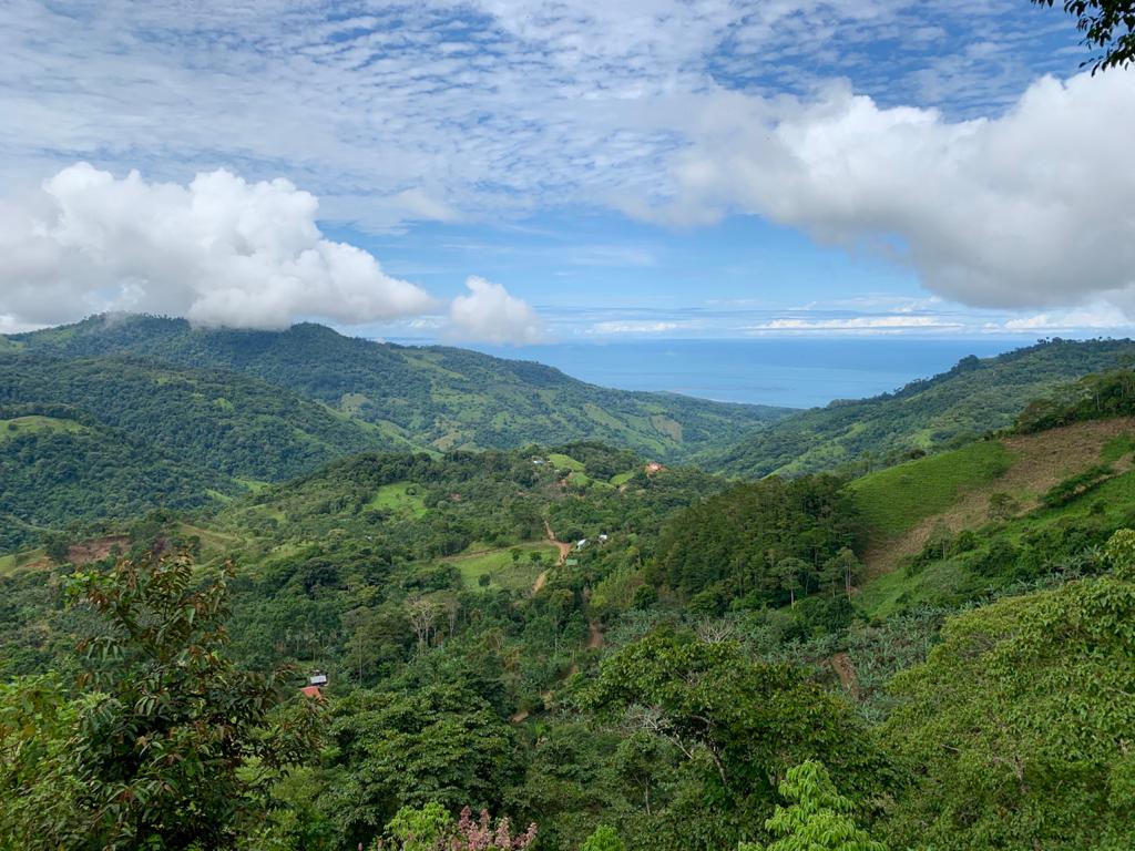 0 bed Land For Sale in Uvita, Puntarenas - thumb 3