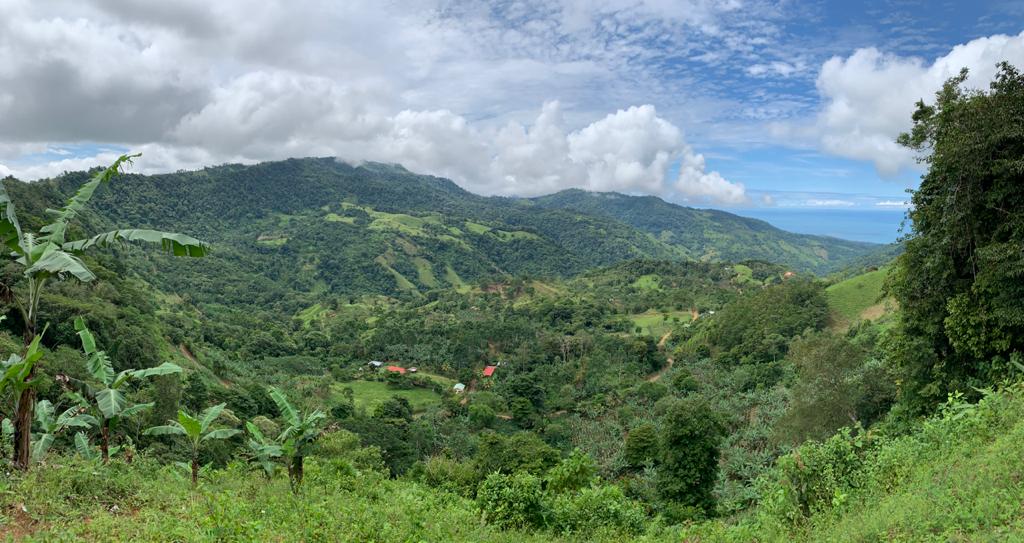 0 bed Land For Sale in Uvita, Puntarenas - thumb 2