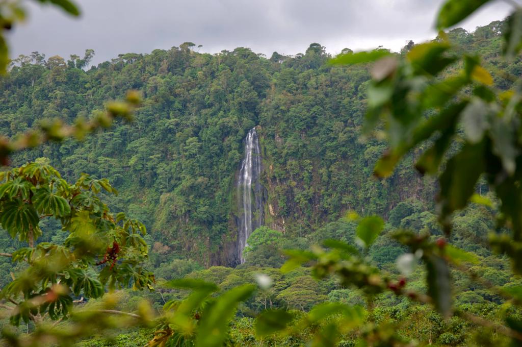 0 bed Land For Sale in Uvita, Puntarenas - thumb 9
