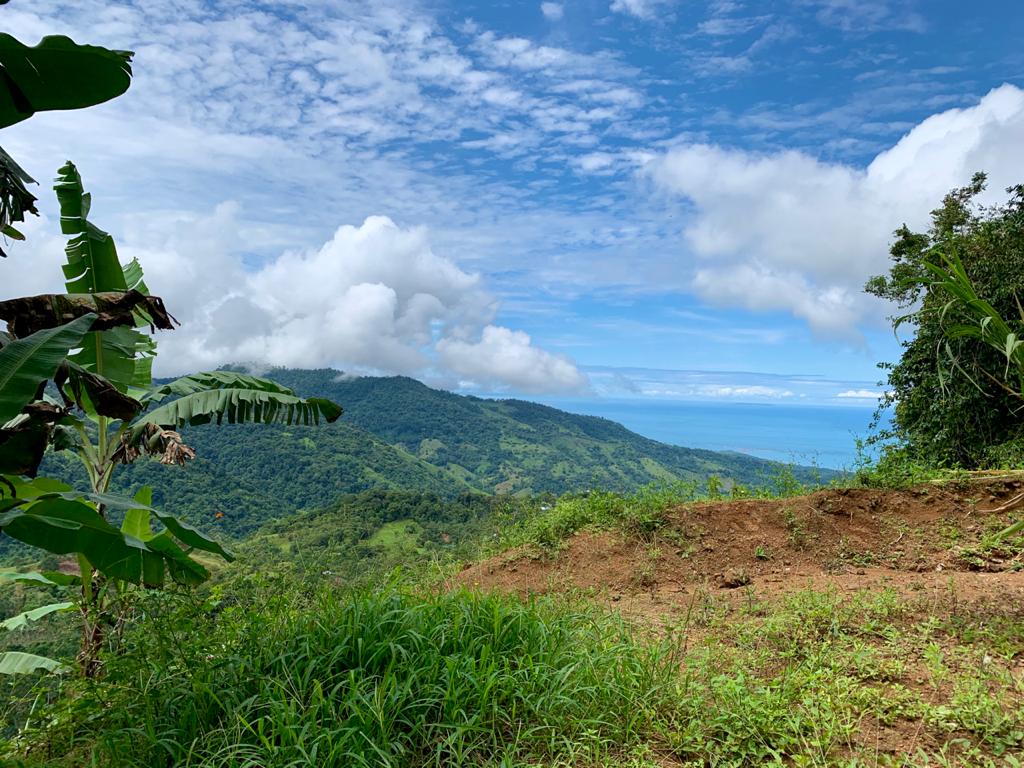 0 bed Land For Sale in Uvita, Puntarenas - thumb 4